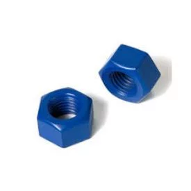 Stainless Steel Xylan Coated Nuts Manufacturer in India