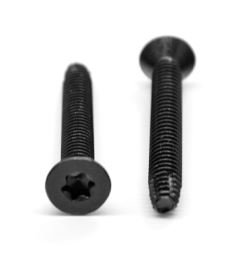 Black Zinc Plated Fasteners Manufacturer